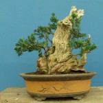 SANY0101