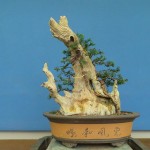 SANY0111