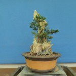 SANY0112