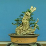 SANY0113