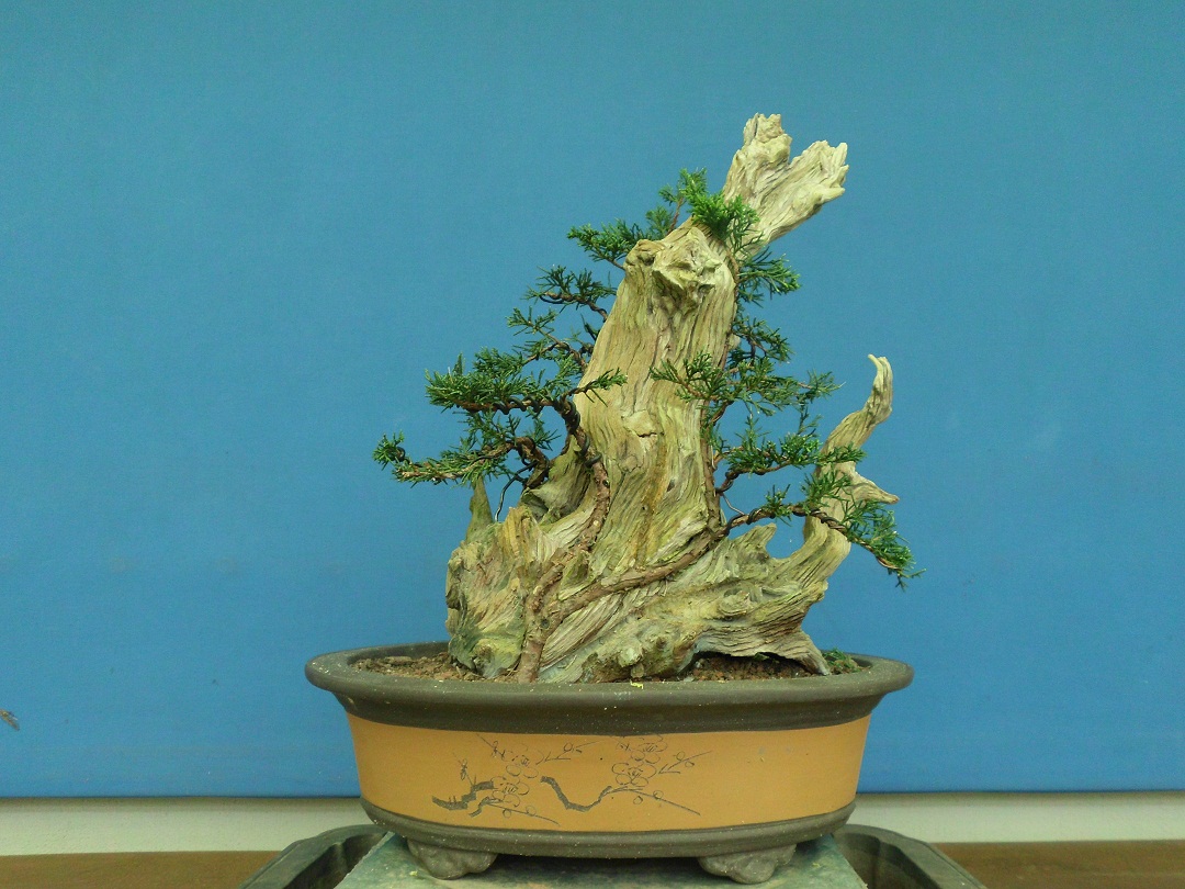 SANY0113