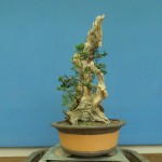 SANY0114