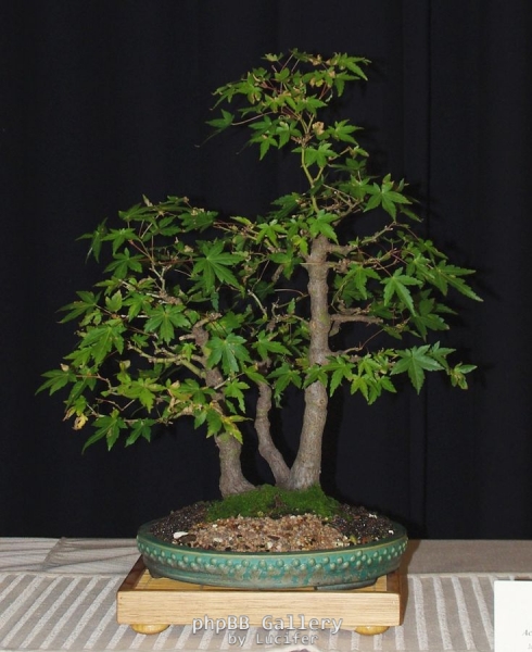 Northwest show autumn 2011 020