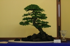 qbs082