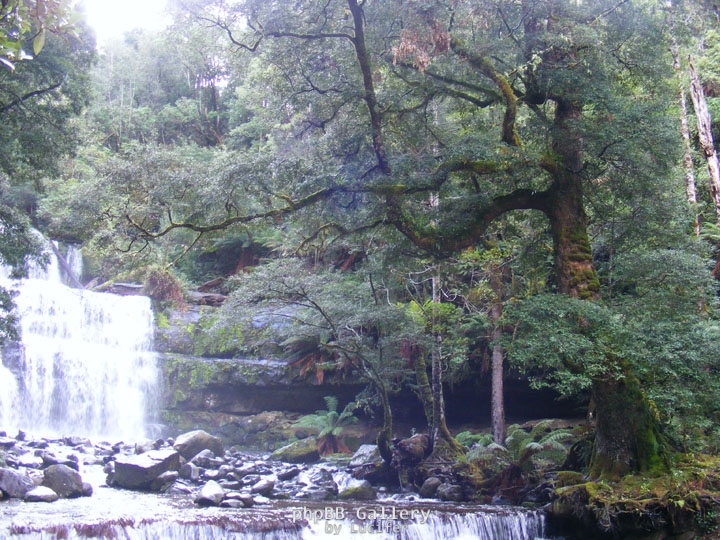 sassafras and liffy falls