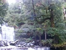 sassafras and liffy falls