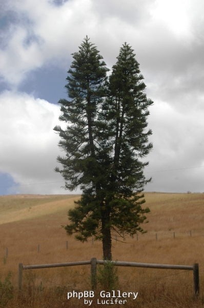 Outside Loch, Victoria